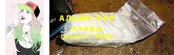 стаф Верея
