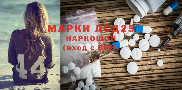 стаф Верея