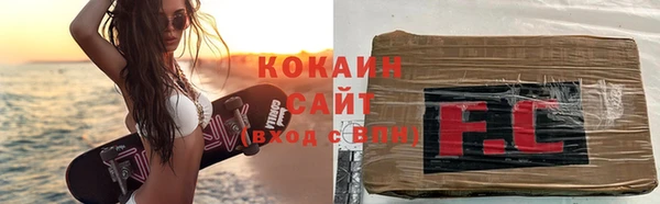 стаф Верея