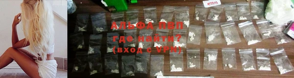 стаф Верея