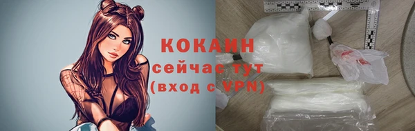 стаф Верея